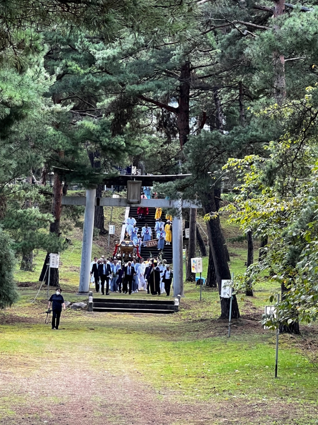 塩竃神社の秋祭り！とても雰囲気の有る松林の参道を、神輿は進んできます。