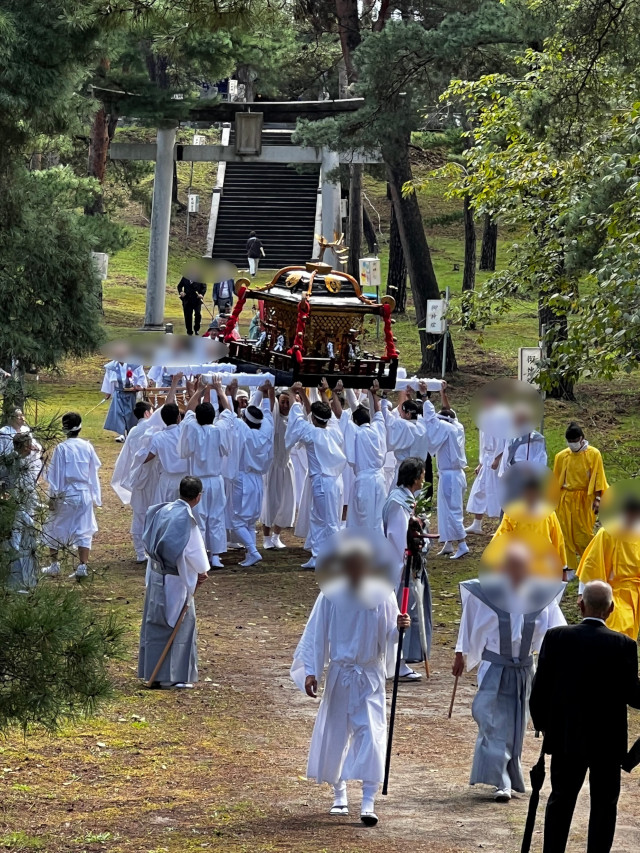 塩竃神社の秋祭り！とても雰囲気の有る松林の参道を、神輿は進んできます。参道途中で「御霊（神様）を高く差し上げる」差しを行います。