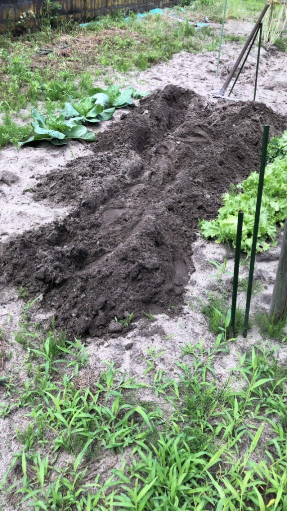 春が来て、順番に作物を植えていきます。次の作付けの為に、更に畑を起こしていきます。