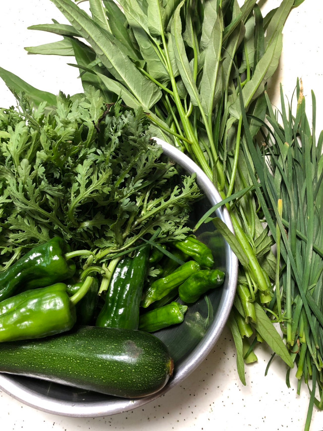 夏野菜の収穫が始まりました。　今の所は豊作です！